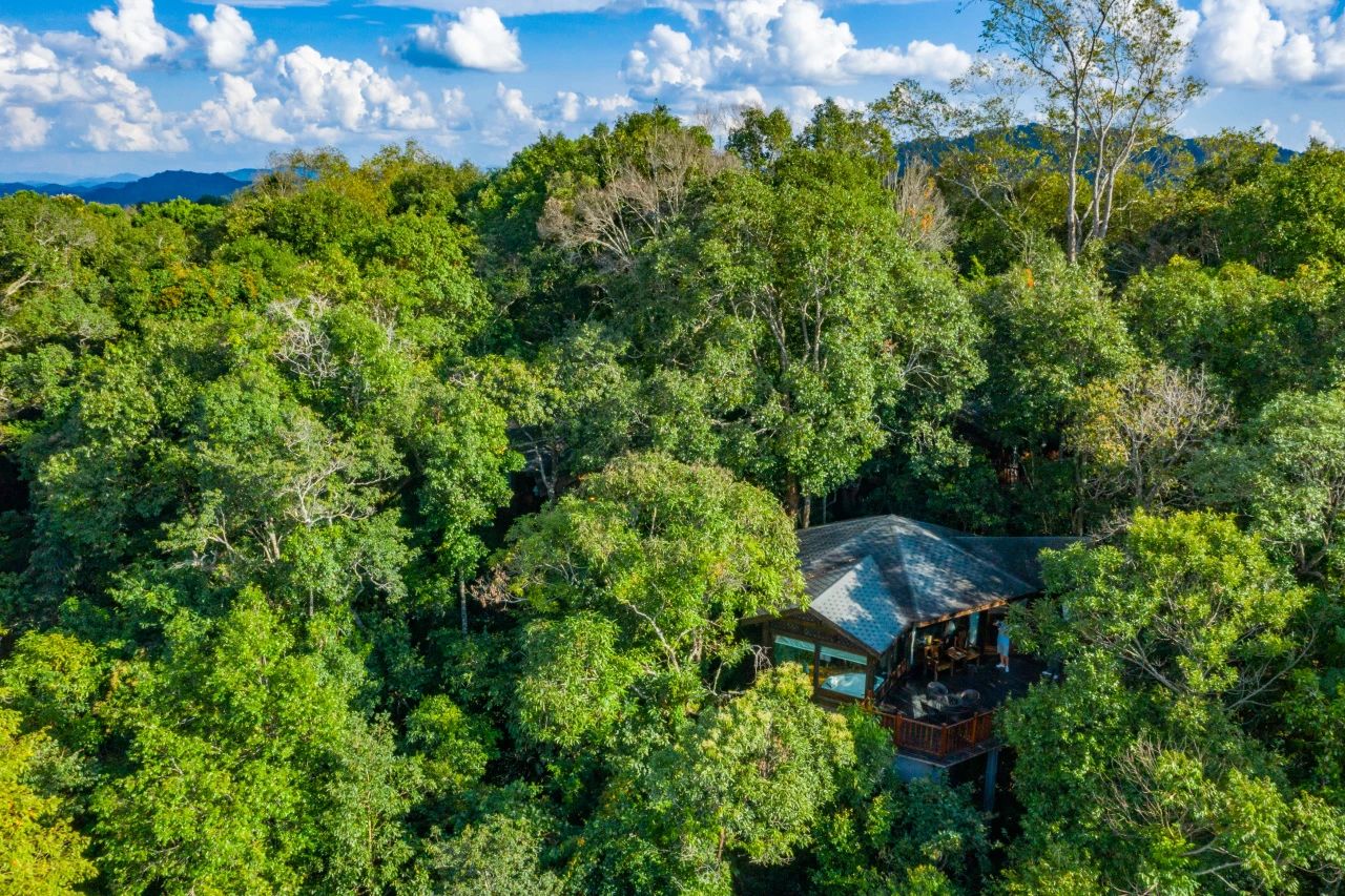 云南旅游、云南定制旅游、云南策劃公司 、云南研學旅行| 一場自然與藝術的奇幻之旅